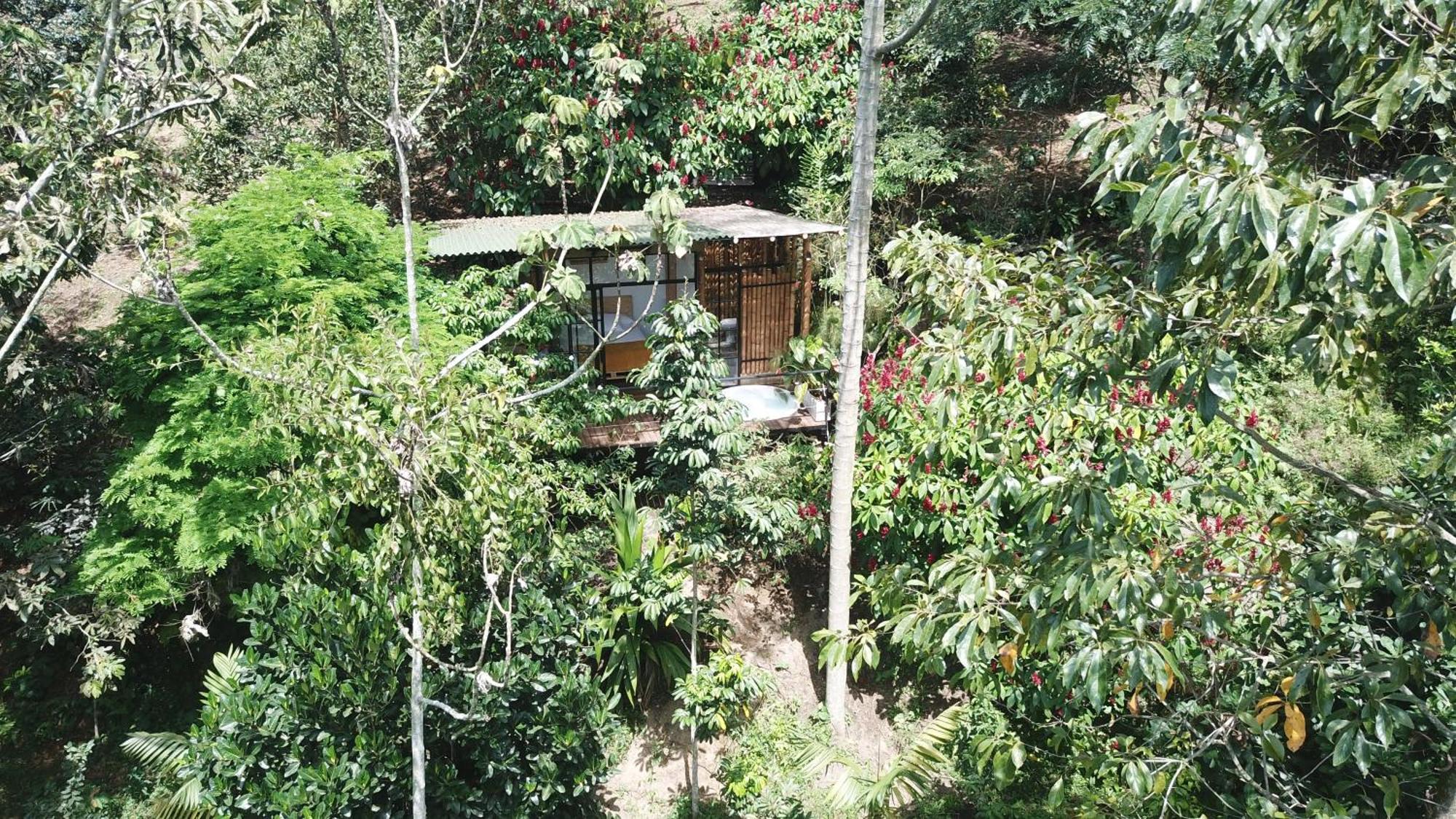 Ecohotel Alma Calarcá Extérieur photo